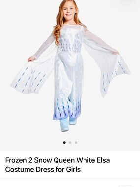Elsa Costume